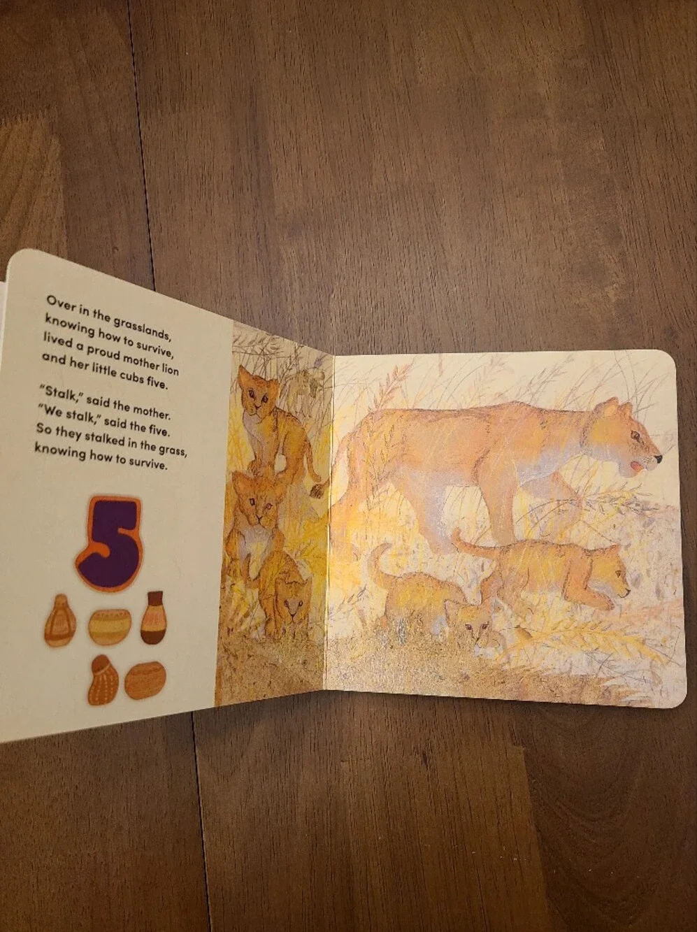 Over in the Grasslands Children's Board Book - Marianne Berkes Like New